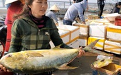 Ngư dân Hà Tĩnh trúng đậm "lộc biển", thu về hơn 600 triệu đồng Ngư dân Hà Tĩnh trúng đậm "lộc biển", thu về hơn 600 triệu đồng