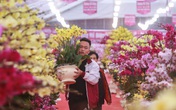 Lan hồ điệp giá trăm triệu xuống phố đón Tết Lan hồ điệp giá trăm triệu xuống phố đón Tết