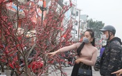 Người Hải Phòng cẩn trọng hơn khi xuống đường sắm Tết giữa dịch COVID-19 Người Hải Phòng cẩn trọng hơn khi xuống đường sắm Tết giữa dịch COVID-19