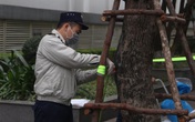 Cận cảnh khu vực toà nhà ở Times City bị phong toả vì có ca mắc COVID-19 Cận cảnh khu vực toà nhà ở Times City bị phong toả vì có ca mắc COVID-19
