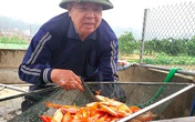 Tết ông Công, ông Táo: Người nuôi cá chép nhận đặt cọc hàng trăm triệu đồng Tết ông Công, ông Táo: Người nuôi cá chép nhận đặt cọc hàng trăm triệu đồng