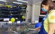 Tôm hùm tăng giá gấp 2-3 lần, cửa hàng mong khách 'thông cảm' Tôm hùm tăng giá gấp 2-3 lần, cửa hàng mong khách 'thông cảm'