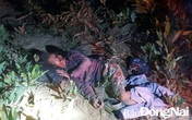 Xác định nguyên nhân người đàn ông nằm bất tỉnh trong rừng, trên người có nhiều vết thương Xác định nguyên nhân người đàn ông nằm bất tỉnh trong rừng, trên người có nhiều vết thương