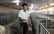 Cú chốt ngày cuối năm, lão nông thương binh thu ngay 20 tỷ đồng Cú chốt ngày cuối năm, lão nông thương binh thu ngay 20 tỷ đồng