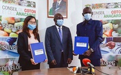 Doanh nghiệp và "sân chơi" nông sản: T&T Group tham gia khắc phục câu chuyện "được mùa mất giá" Doanh nghiệp và "sân chơi" nông sản: T&T Group tham gia khắc phục câu chuyện "được mùa mất giá"