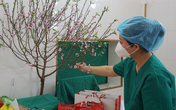 Tết của y, bác sĩ tại tâm dịch Chí Linh: "Chúng tôi vẫn đang trực chiến!" Tết của y, bác sĩ tại tâm dịch Chí Linh: "Chúng tôi vẫn đang trực chiến!"