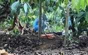 Phát hiện thi thể 1 phụ nữ bị sát hại dã man trong rẫy vắng Phát hiện thi thể 1 phụ nữ bị sát hại dã man trong rẫy vắng