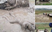 Ô tô cày nát thửa ruộng rồi lật ngửa, người đàn ông lấm lem nằm bẹp dưới bùn và nguyên nhân phía sau khiến ai nấy tò mò Ô tô cày nát thửa ruộng rồi lật ngửa, người đàn ông lấm lem nằm bẹp dưới bùn và nguyên nhân phía sau khiến ai nấy tò mò