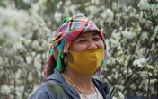 Xuống Hà Nội bán hoa lê, người dân tộc thiểu số thu nhẹ nhàng mỗi ngày 30 triệu đồng Xuống Hà Nội bán hoa lê, người dân tộc thiểu số thu nhẹ nhàng mỗi ngày 30 triệu đồng