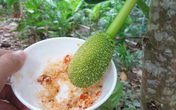 Ngạc nhiên thức quà tuổi thơ nghèo làm món này, sơn hào hải vị bỗng dưng "nhạt nhẽo" Ngạc nhiên thức quà tuổi thơ nghèo làm món này, sơn hào hải vị bỗng dưng "nhạt nhẽo"