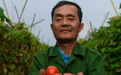 Nông dân Hà Nội: 'Chúng tôi cũng cần giải cứu' Nông dân Hà Nội: 'Chúng tôi cũng cần giải cứu'