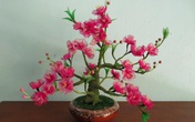 Bày mai, đào giả trang trí tết sao cho hợp phong thủy? Bày mai, đào giả trang trí tết sao cho hợp phong thủy?