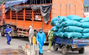 Lái xe vận chuyển hàng hoá đi từ vùng phong toả, ổ dịch, phải xét nghiệm COVID-19 hai lần Lái xe vận chuyển hàng hoá đi từ vùng phong toả, ổ dịch, phải xét nghiệm COVID-19 hai lần
