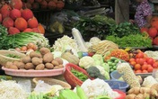 Rau củ chợ Tết giảm giá hơn nửa so với năm ngoái vẫn ế, tiểu thương buồn bã ngồi hóng khách Rau củ chợ Tết giảm giá hơn nửa so với năm ngoái vẫn ế, tiểu thương buồn bã ngồi hóng khách