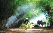 Thâm cung bí sử (227 - 3): Mẹ chồng nàng dâu Thâm cung bí sử (227 - 3): Mẹ chồng nàng dâu