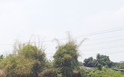 Tìm kiếm người đàn ông nhảy cầu tự tử để lại mảnh giấy và xe máy Tìm kiếm người đàn ông nhảy cầu tự tử để lại mảnh giấy và xe máy