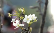 Bi kịch 'đổ vỏ' của chàng trai trẻ sau đám cưới sang trọng với vợ đại gia Bi kịch 'đổ vỏ' của chàng trai trẻ sau đám cưới sang trọng với vợ đại gia