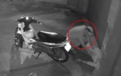 Nằm ngủ trước cửa nhà, nam thanh niên bị trộm xe máy lẫn điện thoại Nằm ngủ trước cửa nhà, nam thanh niên bị trộm xe máy lẫn điện thoại