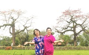 Trà My, Thanh Thanh Hiền khoe sắc bên hoa gạo Trà My, Thanh Thanh Hiền khoe sắc bên hoa gạo