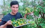 Thăm trọn khu vườn như "hệ sinh thái" trong biệt thự của Lý Hải - Minh Hà Thăm trọn khu vườn như "hệ sinh thái" trong biệt thự của Lý Hải - Minh Hà