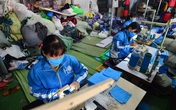 Quý I/2021: Dịch COVID-19 khiến tỷ lệ thất nghiệp tăng, tiêu dùng giảm Quý I/2021: Dịch COVID-19 khiến tỷ lệ thất nghiệp tăng, tiêu dùng giảm