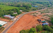 Hơn 70% phải bù lỗ, các địa phương vẫn đua nhau đề xuất xây sân bay Hơn 70% phải bù lỗ, các địa phương vẫn đua nhau đề xuất xây sân bay