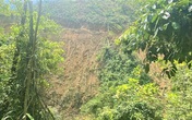Đà Nẵng: Xe ben chở keo mất phanh lật xuống vực, 2 người thương vong Đà Nẵng: Xe ben chở keo mất phanh lật xuống vực, 2 người thương vong