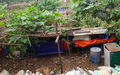 Ăn theo quy hoạch (3): Nhà nhiều “không” chưa đầy 10m2 ở ven sông Hồng được “hét” giá tỷ bạc, gia chủ cam kết... thỏa sức lấn chiếm Ăn theo quy hoạch (3): Nhà nhiều “không” chưa đầy 10m2 ở ven sông Hồng được “hét” giá tỷ bạc, gia chủ cam kết... thỏa sức lấn chiếm