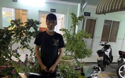 TP HCM: Con 16 tuổi đi đêm, mẹ nhắn tin khẩn thiết "nghe lời mẹ ở nhà đi con" TP HCM: Con 16 tuổi đi đêm, mẹ nhắn tin khẩn thiết "nghe lời mẹ ở nhà đi con"