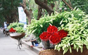 Miền Bắc tăng nhiệt nhanh, có nơi nắng nóng trong những ngày tới Miền Bắc tăng nhiệt nhanh, có nơi nắng nóng trong những ngày tới