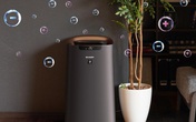 Đạt cú đúp giải thưởng cho máy lọc khí được yêu thích nhất, tại sao Sharp có thể chinh phục chuyên gia và người dùng? Đạt cú đúp giải thưởng cho máy lọc khí được yêu thích nhất, tại sao Sharp có thể chinh phục chuyên gia và người dùng?