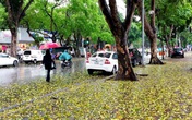 Miền Bắc sắp đón "rét nàng Bân", nhiệt độ giảm mạnh Miền Bắc sắp đón "rét nàng Bân", nhiệt độ giảm mạnh