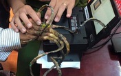 Xôn xao câu chuyện người đàn ông đi làm căn cước 30 phút vẫn không lấy được vân tay, nhìn xuống bộ móng ai cũng sửng sốt Xôn xao câu chuyện người đàn ông đi làm căn cước 30 phút vẫn không lấy được vân tay, nhìn xuống bộ móng ai cũng sửng sốt