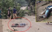 Chặt cây trước nhà, cây đổ ra đường đè thanh niên đi xe máy tử vong Chặt cây trước nhà, cây đổ ra đường đè thanh niên đi xe máy tử vong