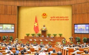 Hôm nay, Quốc hội bổ nhiệm một số Phó Thủ tướng, các thành viên của Chính phủ và họp phiên bế mạc Hôm nay, Quốc hội bổ nhiệm một số Phó Thủ tướng, các thành viên của Chính phủ và họp phiên bế mạc
