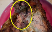 Bán cá kho có giòi, thực phẩm sạch Clerverfood bị phạt 17 triệu đồng Bán cá kho có giòi, thực phẩm sạch Clerverfood bị phạt 17 triệu đồng