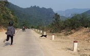 Đàn voọc thường xuyên tấn công người đi đường ở Quảng Trị sẽ được di dời Đàn voọc thường xuyên tấn công người đi đường ở Quảng Trị sẽ được di dời