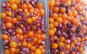 Hàng tấn đặc sản trứng gà non hôi thối tuồn vào nhà hàng Hàng tấn đặc sản trứng gà non hôi thối tuồn vào nhà hàng