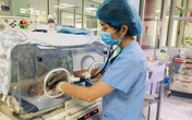 Bé sơ sinh bị nhiễm trùng huyết do cha mẹ tự ý nặn mụn nhọt Bé sơ sinh bị nhiễm trùng huyết do cha mẹ tự ý nặn mụn nhọt