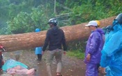 Mưa lớn kèm dông lốc quật cây rừng ngã đổ, đè 2 phụ nữ thương vong Mưa lớn kèm dông lốc quật cây rừng ngã đổ, đè 2 phụ nữ thương vong