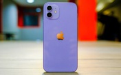 Điểm khác biệt trên iPhone 12 màu tím không phải ai cũng biết Điểm khác biệt trên iPhone 12 màu tím không phải ai cũng biết
