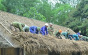 Người chuyên thay 'áo mới' nhà Bác ở làng Sen Người chuyên thay 'áo mới' nhà Bác ở làng Sen