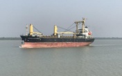 TPHCM: Phát hiện 9 ca dương tính từ tàu hàng hải của Ấn Độ TPHCM: Phát hiện 9 ca dương tính từ tàu hàng hải của Ấn Độ