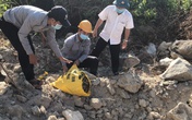 Phát hiện trăn gấm nặng 28 kg trong trường học Phát hiện trăn gấm nặng 28 kg trong trường học
