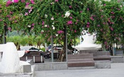 Quảng Ninh điều chỉnh một số biện pháp phòng chống dịch COVID-19 Quảng Ninh điều chỉnh một số biện pháp phòng chống dịch COVID-19