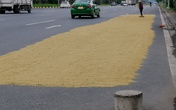 Ẩn họa từ chiếm dụng lòng đường biến thành sân phơi lúa Ẩn họa từ chiếm dụng lòng đường biến thành sân phơi lúa