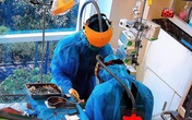 Hà Nội: Diễn biến nguy kịch rất nhanh, nam bệnh nhân COVID-19 phải đặt ECMO Hà Nội: Diễn biến nguy kịch rất nhanh, nam bệnh nhân COVID-19 phải đặt ECMO