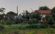 Can ngăn đánh nhau, chú bị cháu ruột nổ súng bắn chết Can ngăn đánh nhau, chú bị cháu ruột nổ súng bắn chết