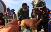 Cán bộ đổ ra đồng thu hoạch dưa giúp bà con bị phong tỏa vì dịch Cán bộ đổ ra đồng thu hoạch dưa giúp bà con bị phong tỏa vì dịch