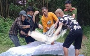 Quảng Ninh: Rủ nhau đi tắm suối, một công nhân thiệt mạng Quảng Ninh: Rủ nhau đi tắm suối, một công nhân thiệt mạng
